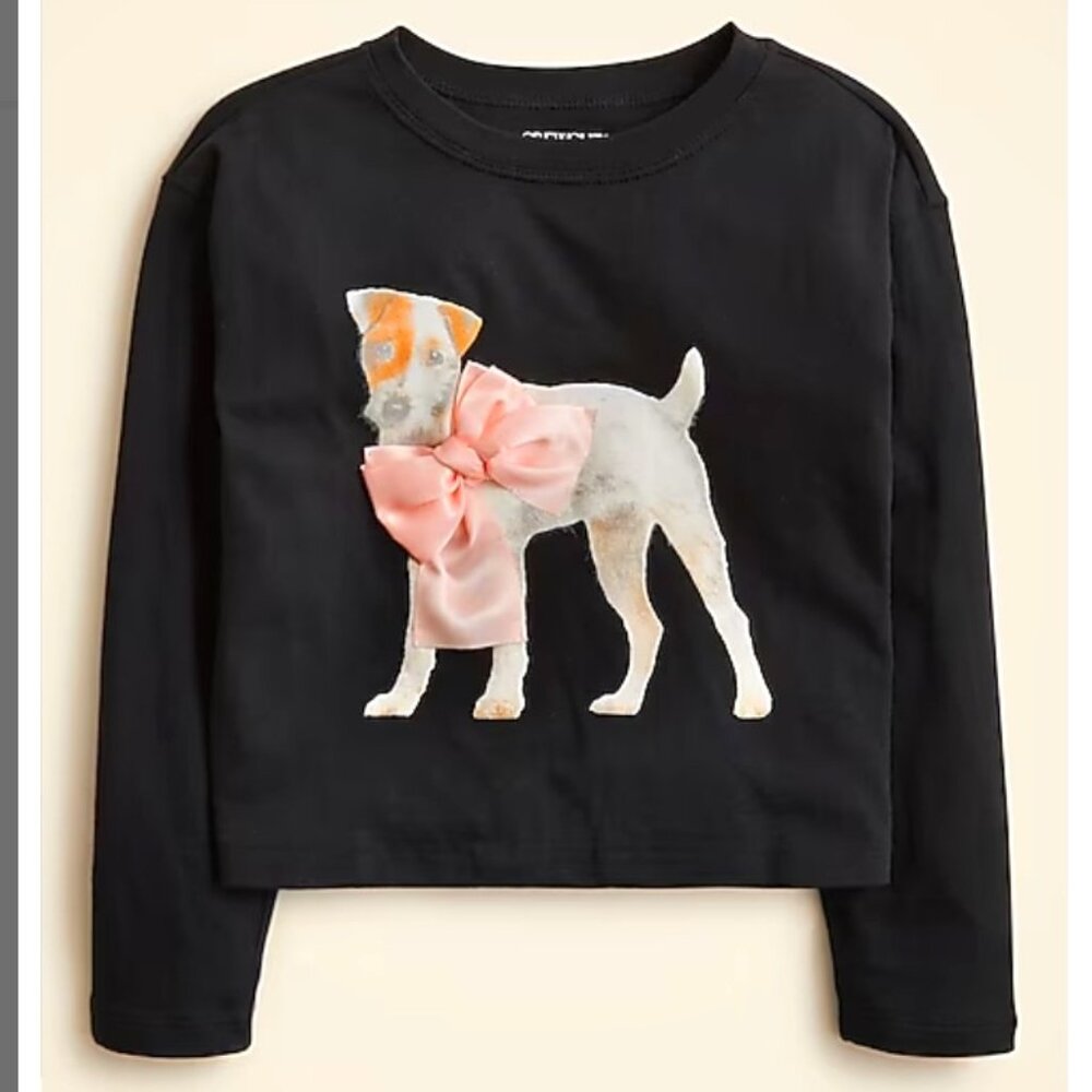 J Crew /Crew Cuts girl’s graphic tee shirt